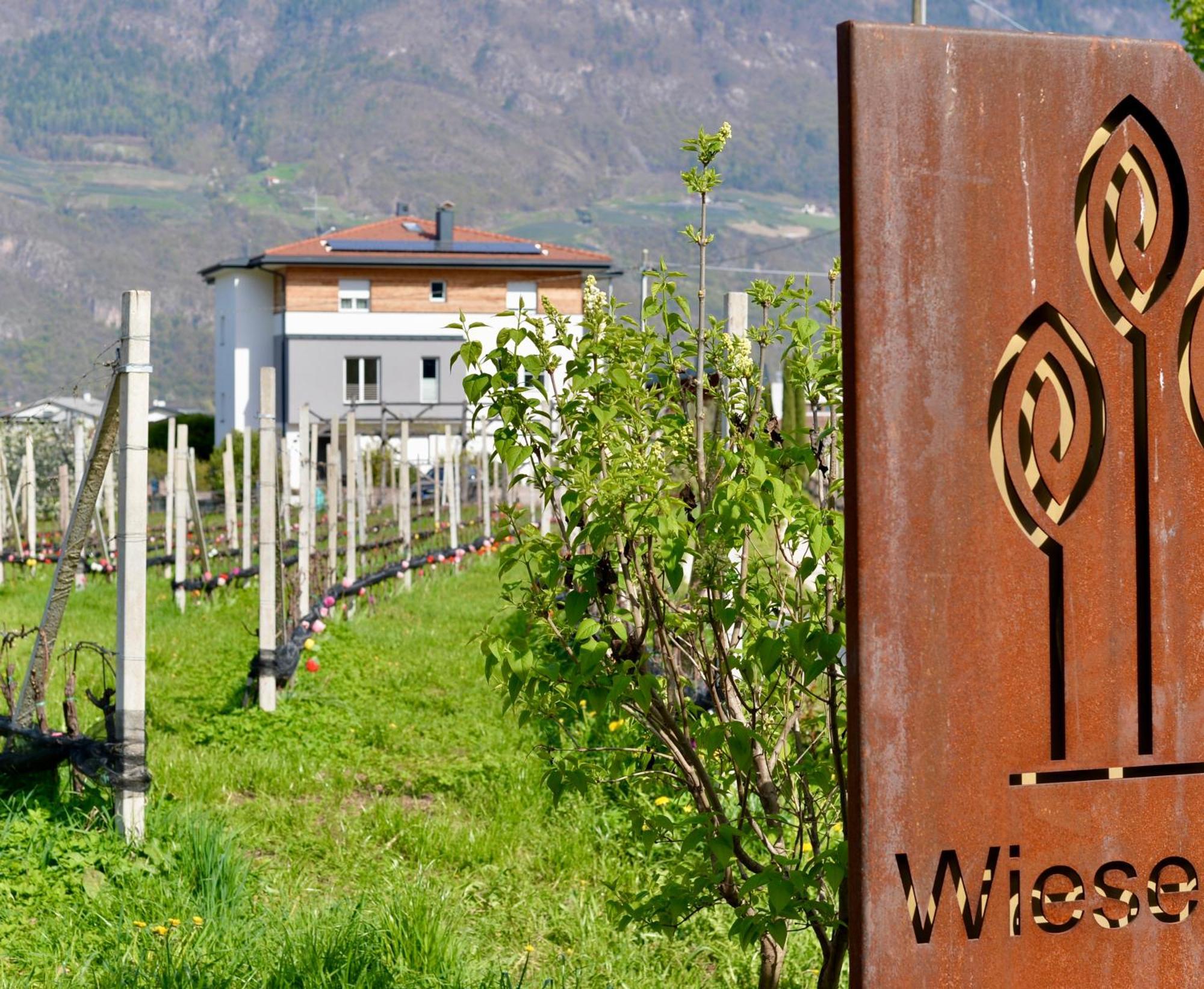 Haus Wiesenstein 拉纳 外观 照片