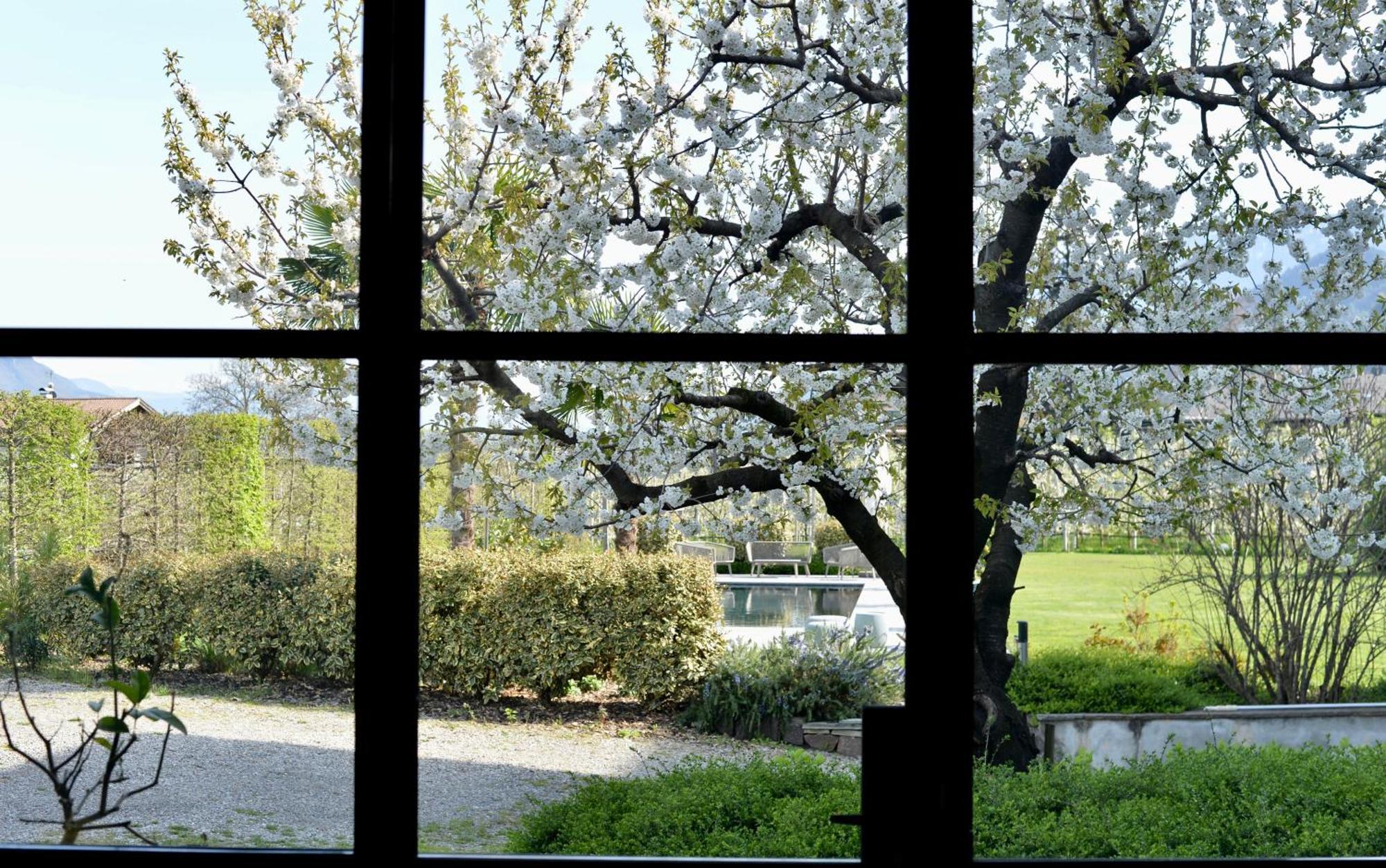 Haus Wiesenstein 拉纳 外观 照片