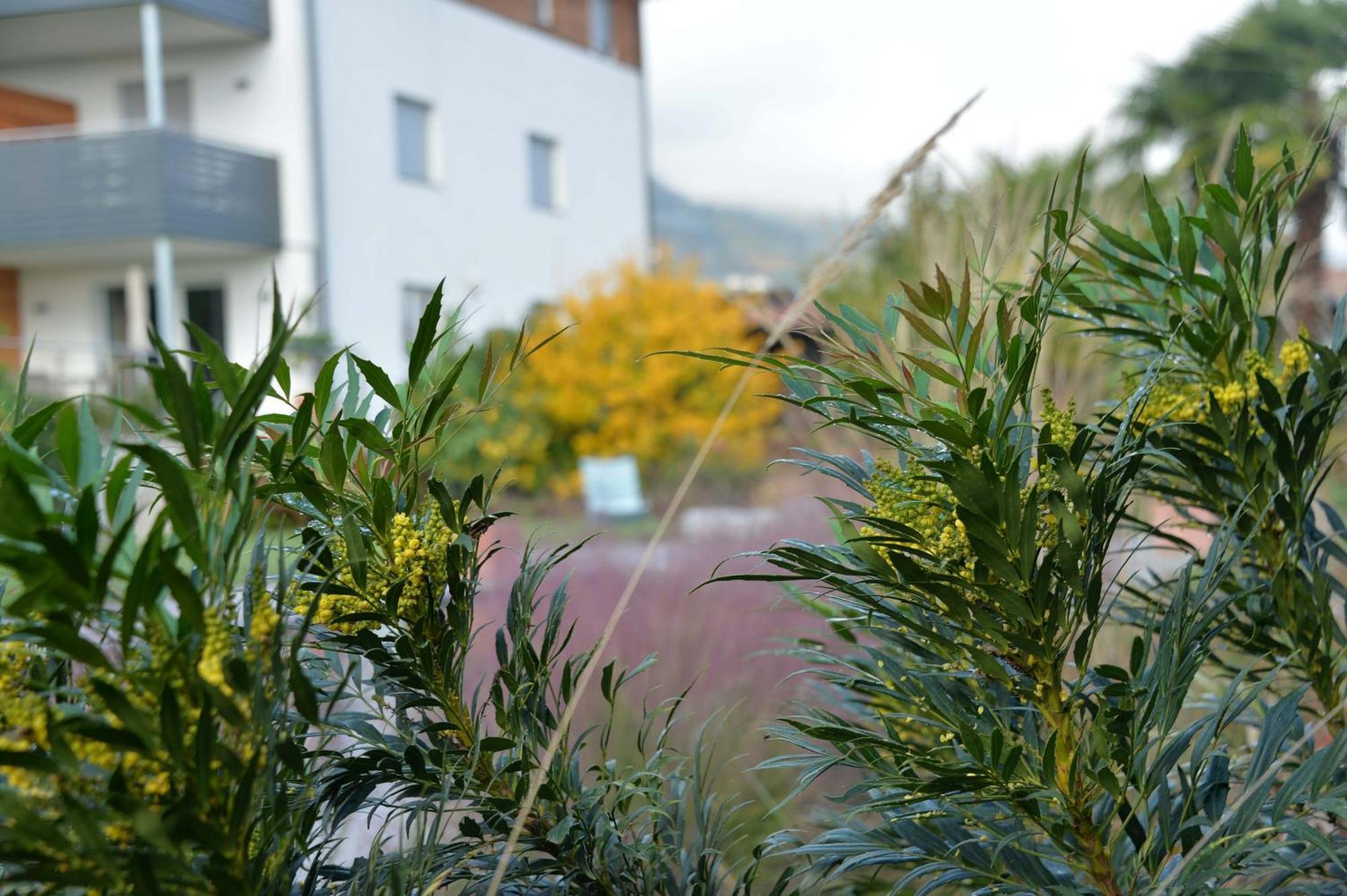 Haus Wiesenstein 拉纳 外观 照片